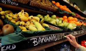 Pesticides in Produce: 2024’s ‘Dirty Dozen’ and ‘Clean Fifteen’ Fruits and Vegetables Revealed in New Report